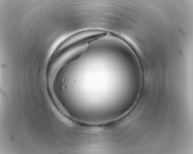 X0000091341085200708101439