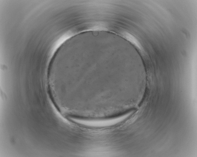 X0000091341087200708101439