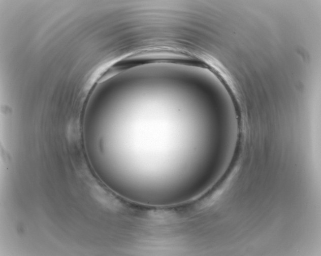X0000091341089200708101439