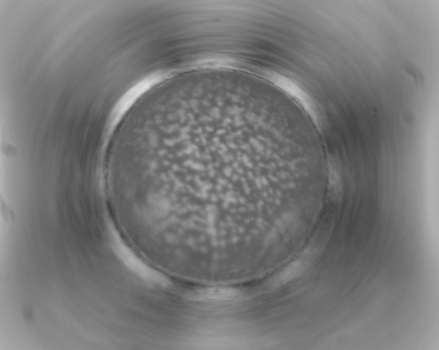 X0000091341090200708101439