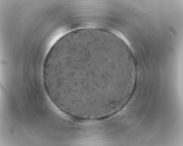 X0000091341091200708101439