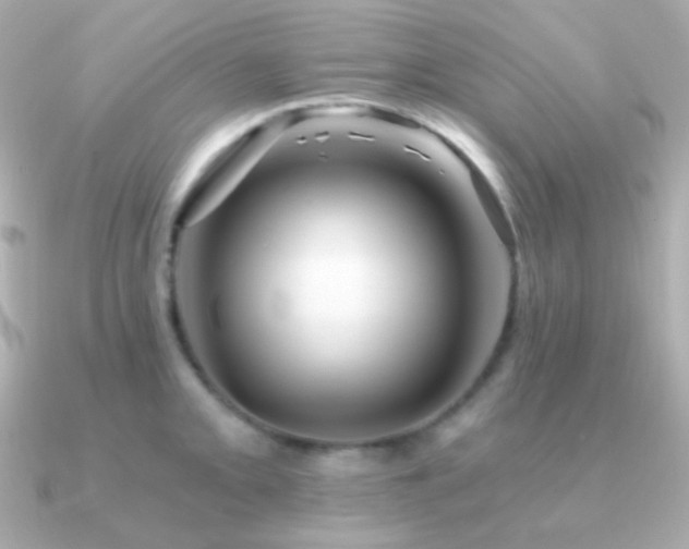 X0000091341093200708101439