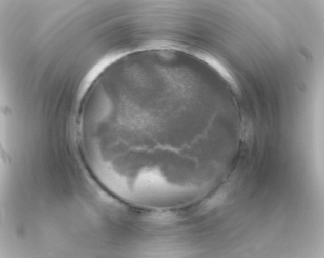 X0000091341094200708101439