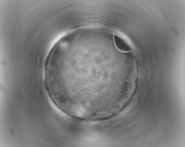 X0000091341095200708101439