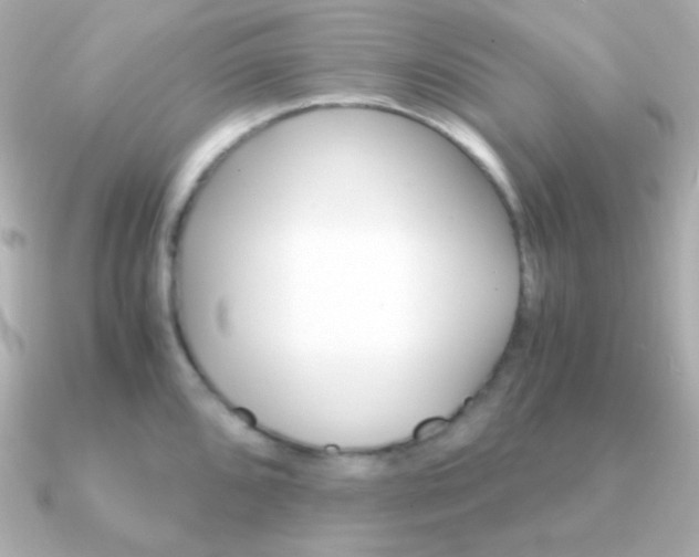 X0000091341096200708101439