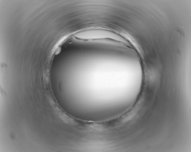 X0000091341097200708101439