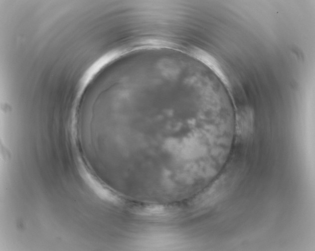 X0000091341098200708101439
