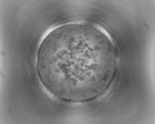 X0000091341099200708101439