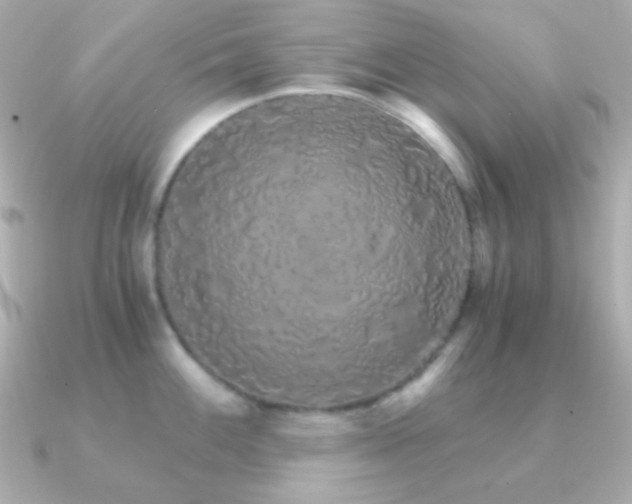 X0000091341100200708101439