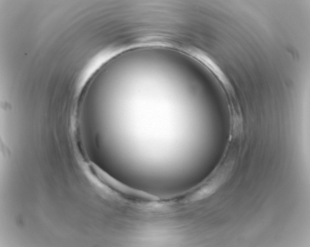 X0000091341101200708101439