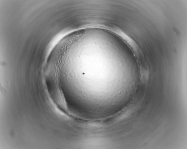 X0000091341102200708101439