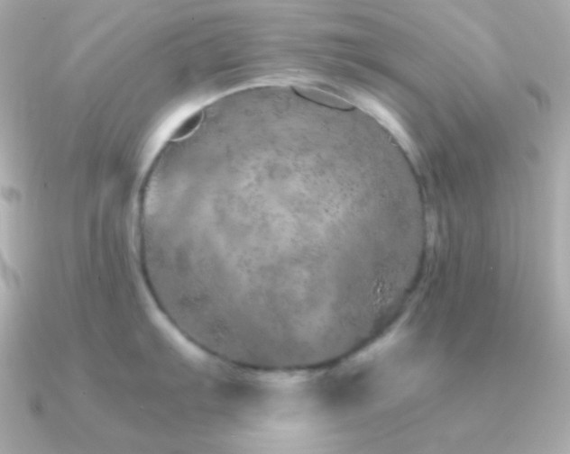 X0000091341103200708101439