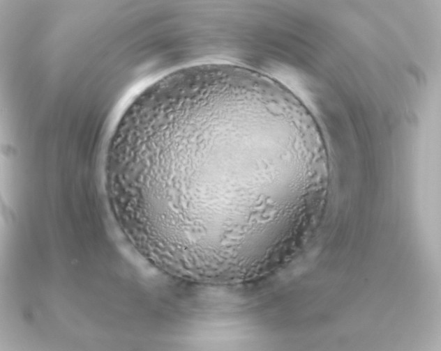 X0000091341104200708101439