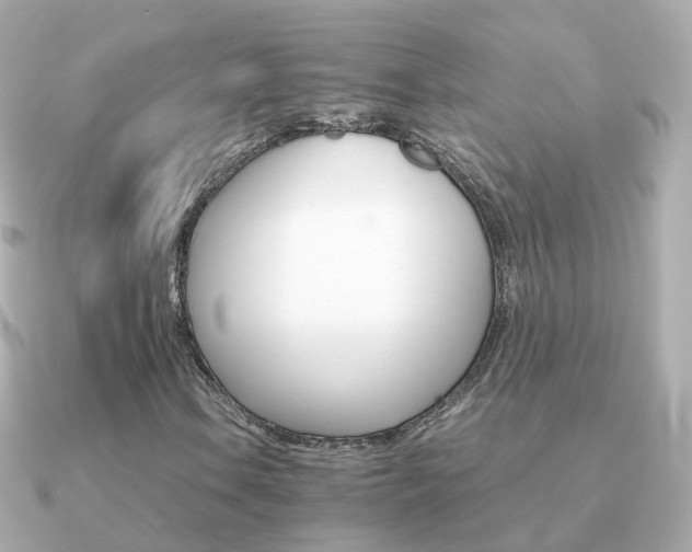 X0000091341106200708101438