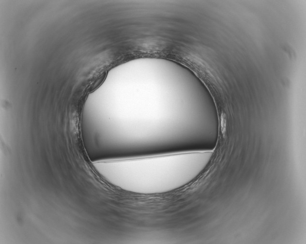 X0000091341107200708101438