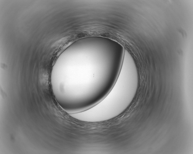 X0000091341108200708101438