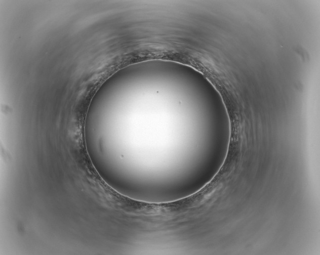 X0000091341109200708101438