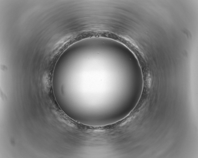 X0000091341110200708101438