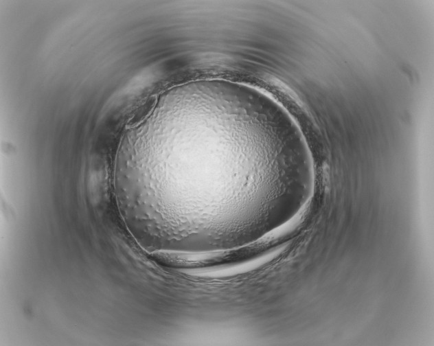 X0000091341111200708101438