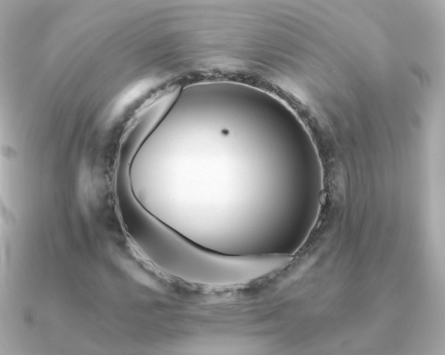 X0000091341112200708101438