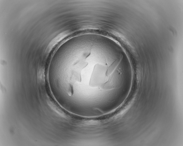X0000091341113200708101438