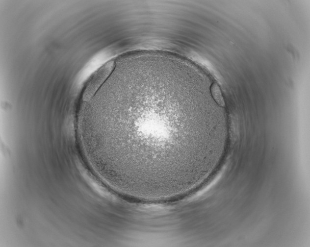X0000091341114200708101439