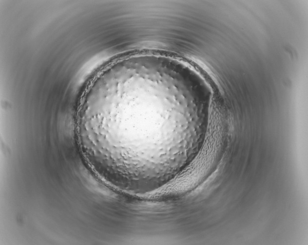 X0000091341115200708101439