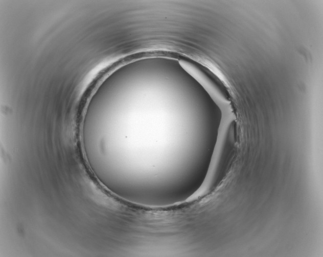 X0000091341116200708101439