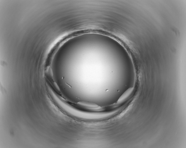 X0000091341118200708101439