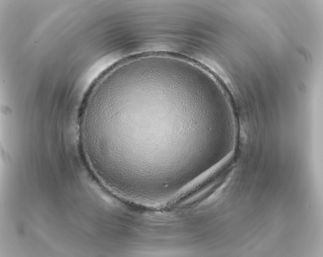 X0000091341119200708101439