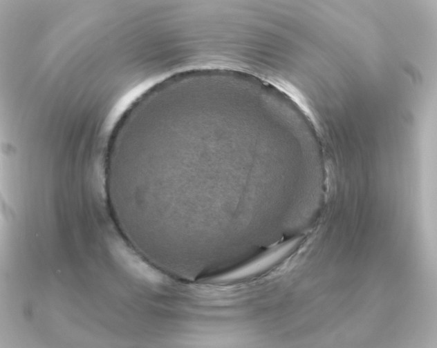 X0000091341120200708101439