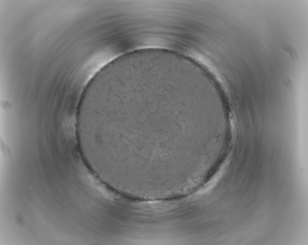 X0000091341121200708101439
