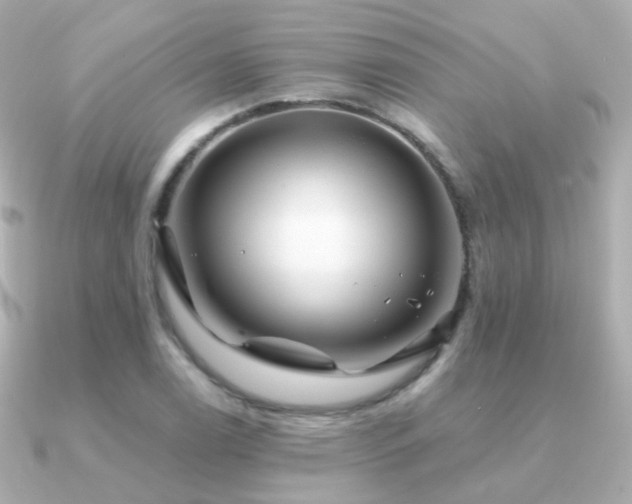 X0000091341122200708101439