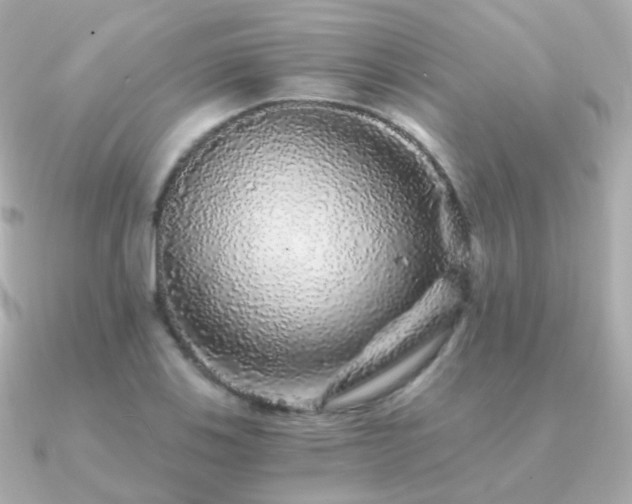 X0000091341123200708101439