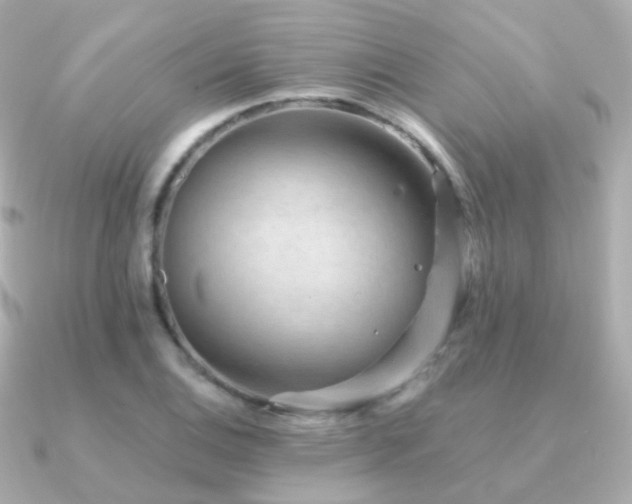 X0000091341124200708101439