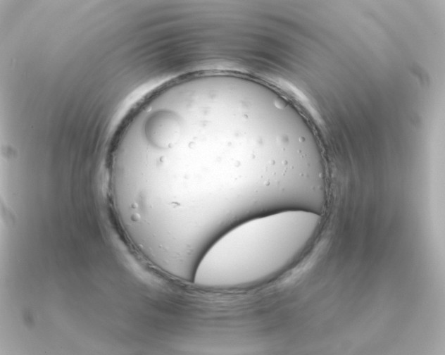X0000091341125200708101439