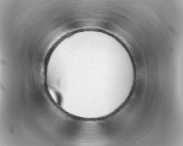 X0000091341126200708101439