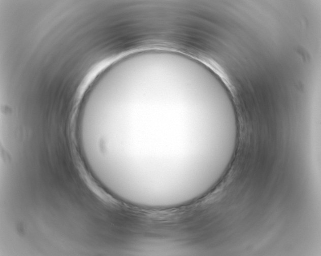 X0000091341128200708101439