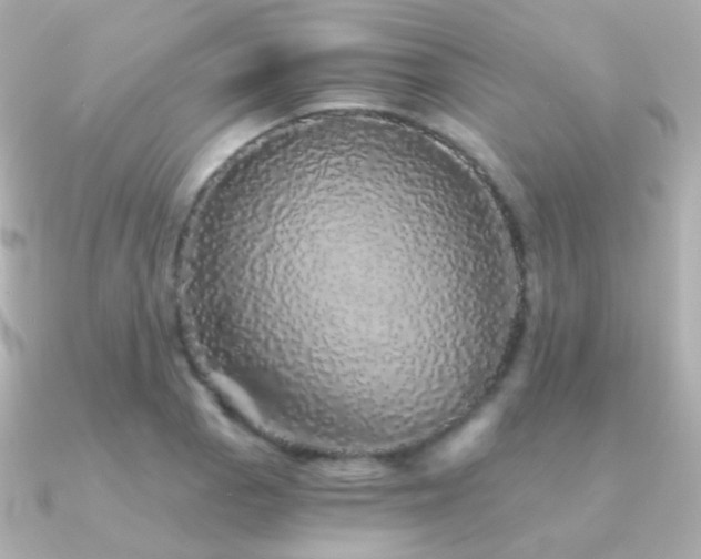 X0000091341129200708101439