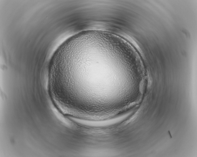 X0000091341131200708101439