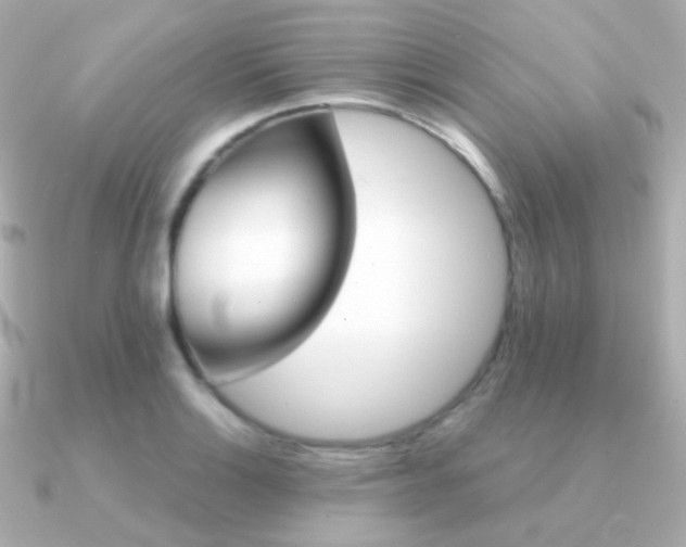 X0000091341132200708101439