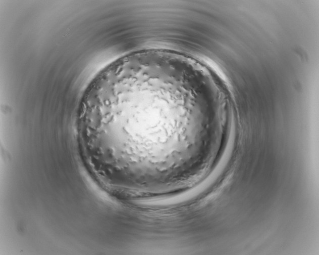 X0000091341133200708101439