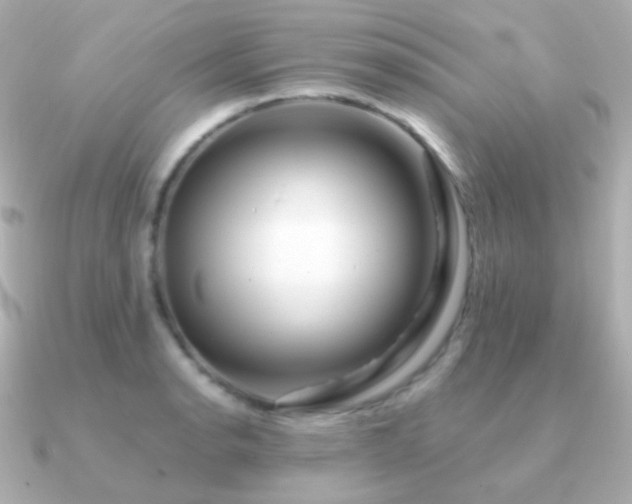 X0000091341134200708101439