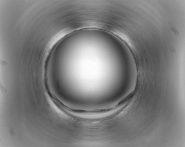 X0000091341135200708101439