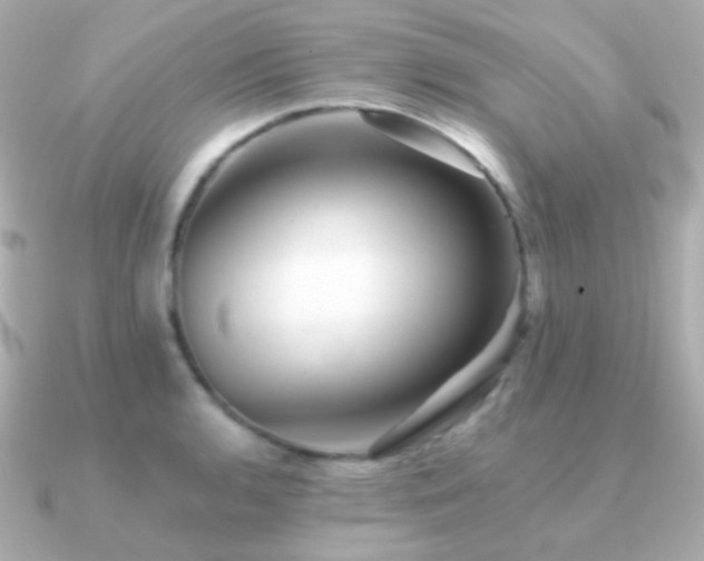 X0000091341136200708101439