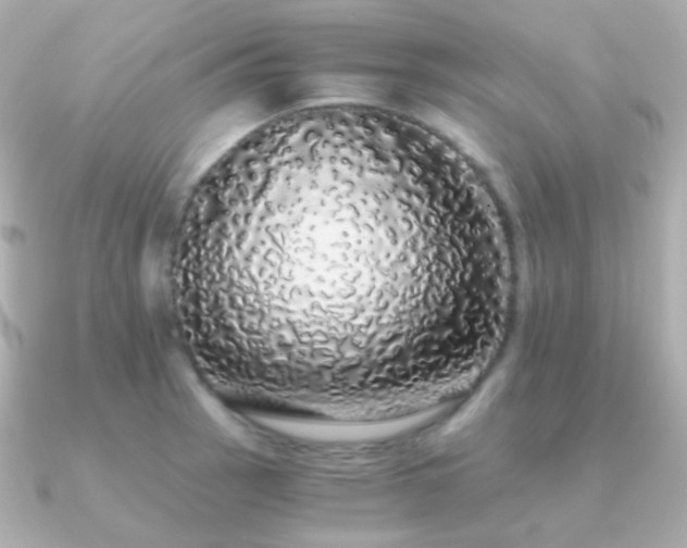 X0000091341137200708101439