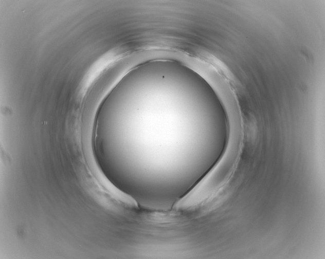 X0000091341138200708101439