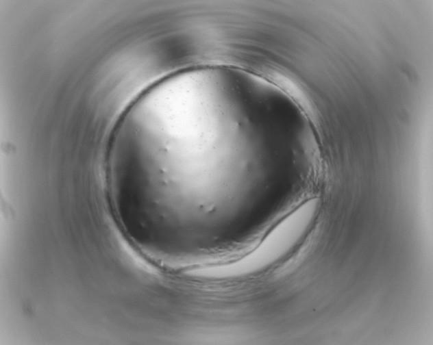 X0000091341141200708101439