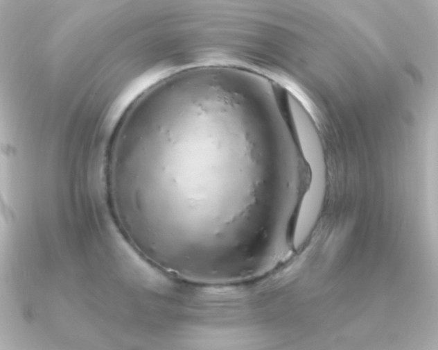 X0000091341142200708101439