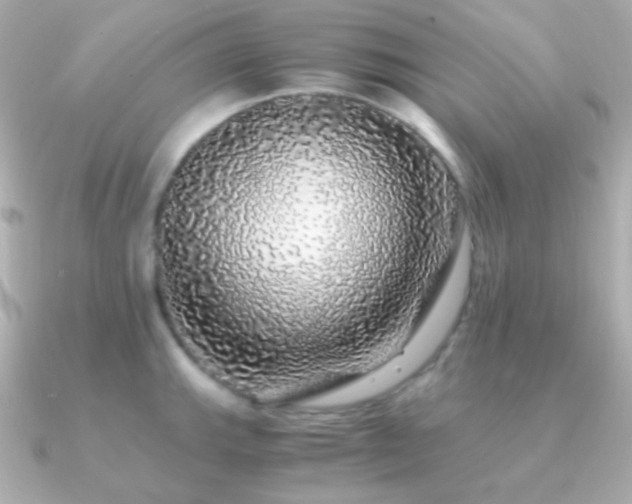 X0000091341143200708101439